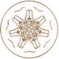 Maan
