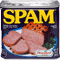 spam