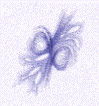 Stichting Fishflowform