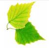 Berkhout Biografiek
